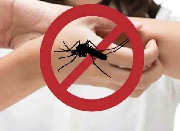 டெங்கு நோயாளர்களின் எண்ணிக்கை 22 ஆயிரத்தக் கடந்தது