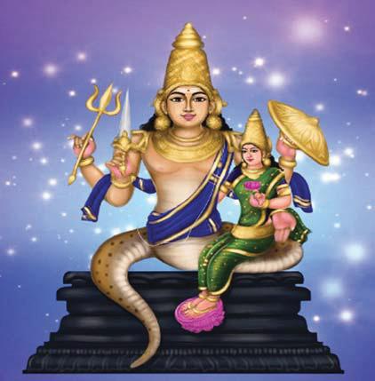ராகு பகவானின் அருளை பெறுவது எப்படி?
