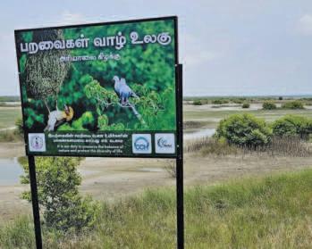 யாழில் முறையற்ற கழிவு முகாமைத்துவம் உயிர் பல்வகைமைக்கு ஆபத்தை ஏற்படுத்தும்