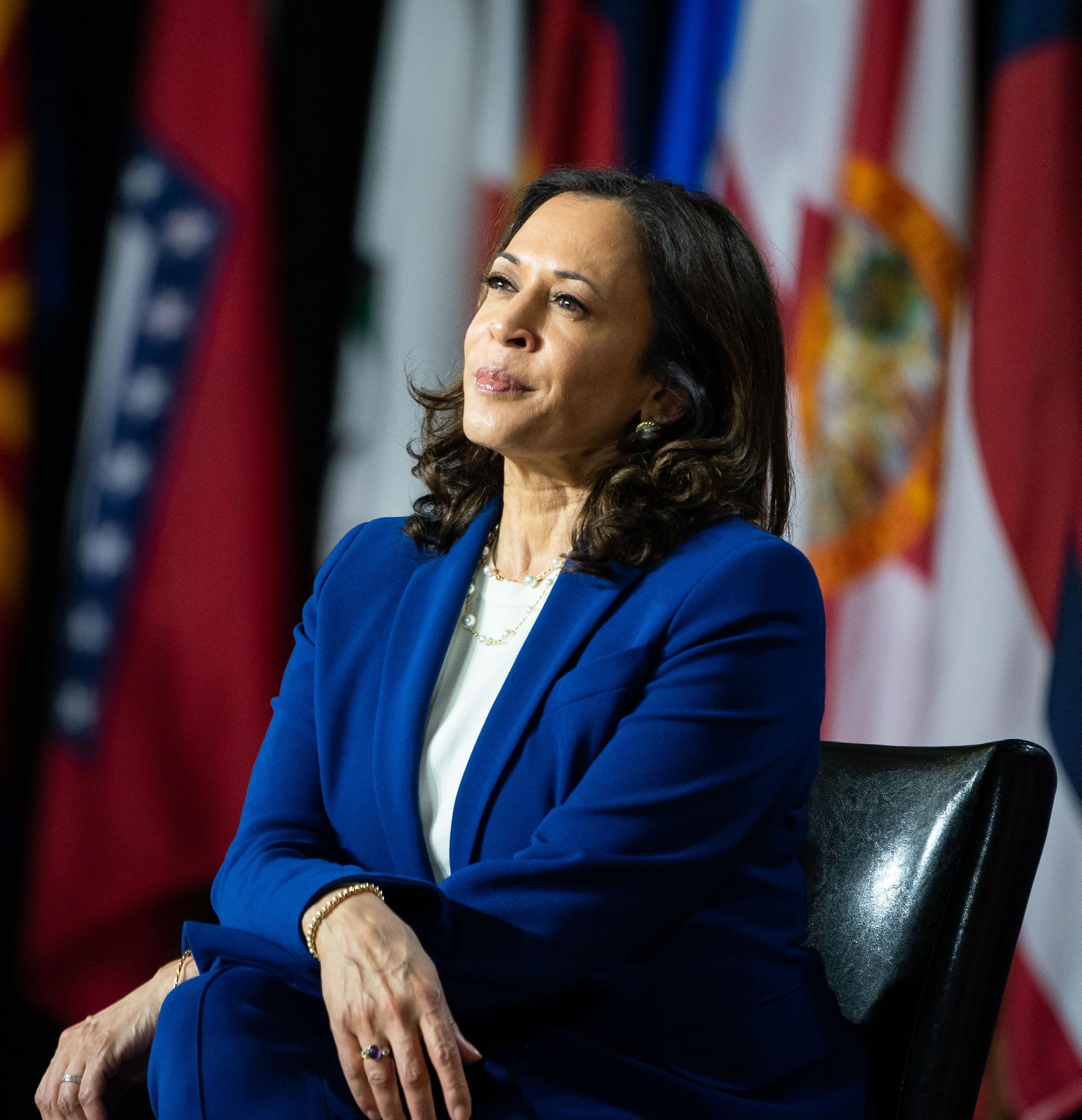 Kamala Harris says she ‘had a certain responsibility' to argue against Biden running again