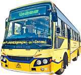 வேளாங்கண்ணி ஆலய திருவிழா 1,050 சிறப்பு பேருந்துகள் இயக்கம்