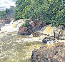 ஒகேனக்கல் அருவியில் குளிக்க, பரிசல் சவாரிக்கு தடை