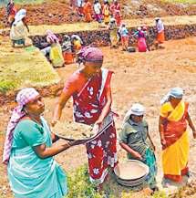 100 நாள் வேலை திட்ட பணியாளர்களை விவசாயப் பணிக்கு பயன்படுத்தலாமே?