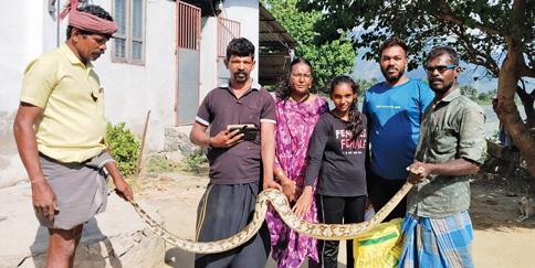 வீட்டில் புகுந்த 12 அடி நீள மலைப்பாம்பு