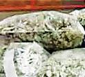 1.4 கிலோ கஞ்சாவுடன் 3 பேர் கைது