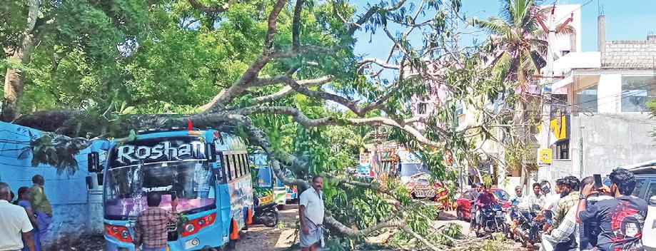 குளச்சலில் திடீர் சூறைக்காற்று