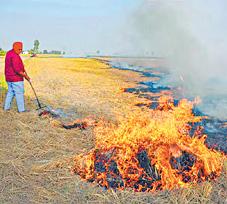 பயிற்சிக்கழிவு எரிப்பு பிரச்னை பஞ்சாப், அரியானா அரசுடன் ஆலோசனை