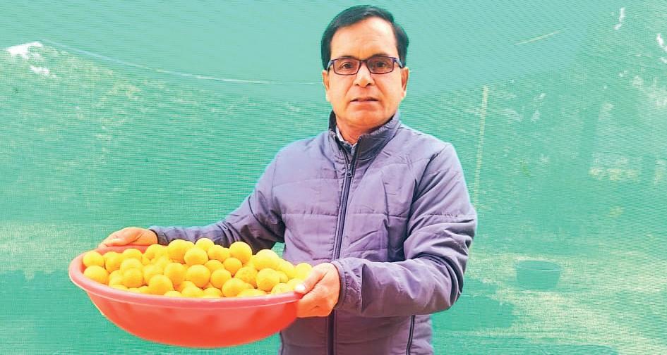 फ़ायदे के रस से भरे नींबू