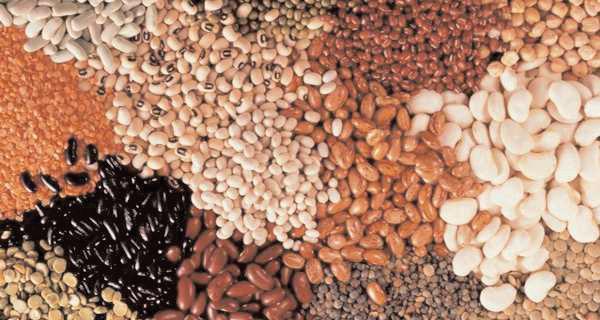How foods with low glycemic index help maintain weight and control diabetes