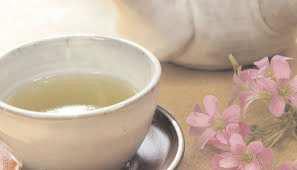 How green tea rids you of oral cancer