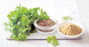 Reasons you need dhania or coriander in your life