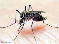 New study claims to have found root of fatal malaria infection