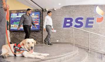 Stock markets rise for 4th day on global rally, gains in banking shares after RBI rate cut