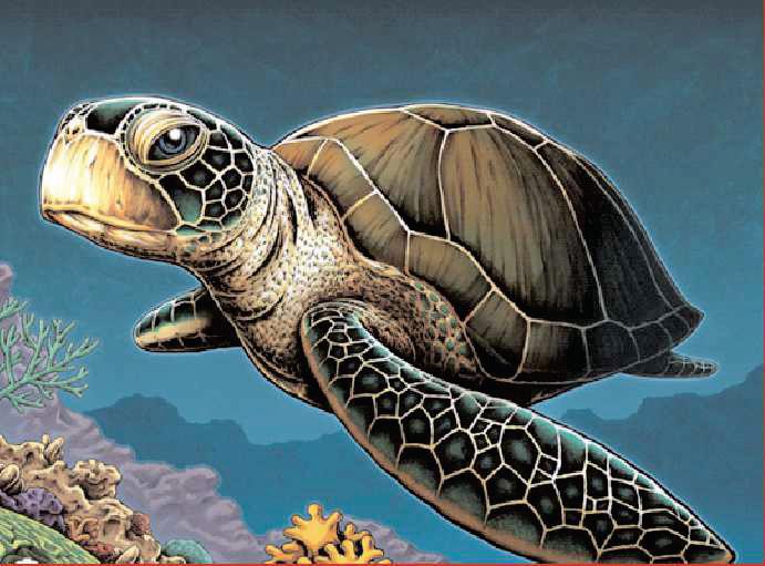 The Plight of Sea Turtles: Threats and Solutions