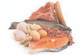 Eating egg, fish, meat may promote memory loss