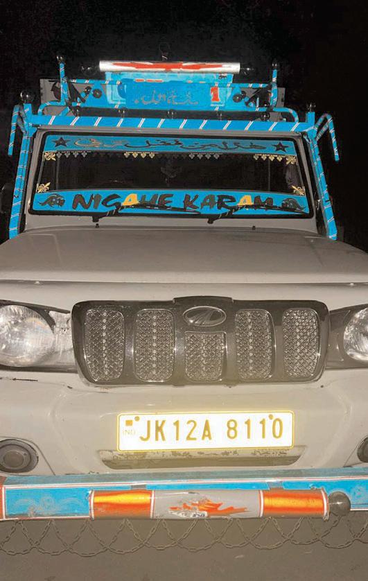 Three Bovines Rescued; Vehicle Seized by Police Station Mandi