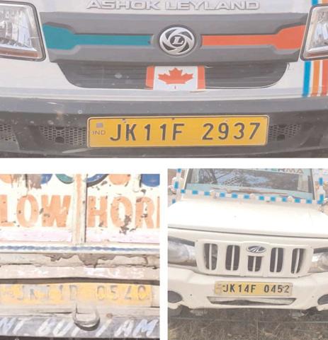 Poonch Police Foil Bovine Smuggling Attempt; Three Vehicles Seized, Six Bovines Rescued