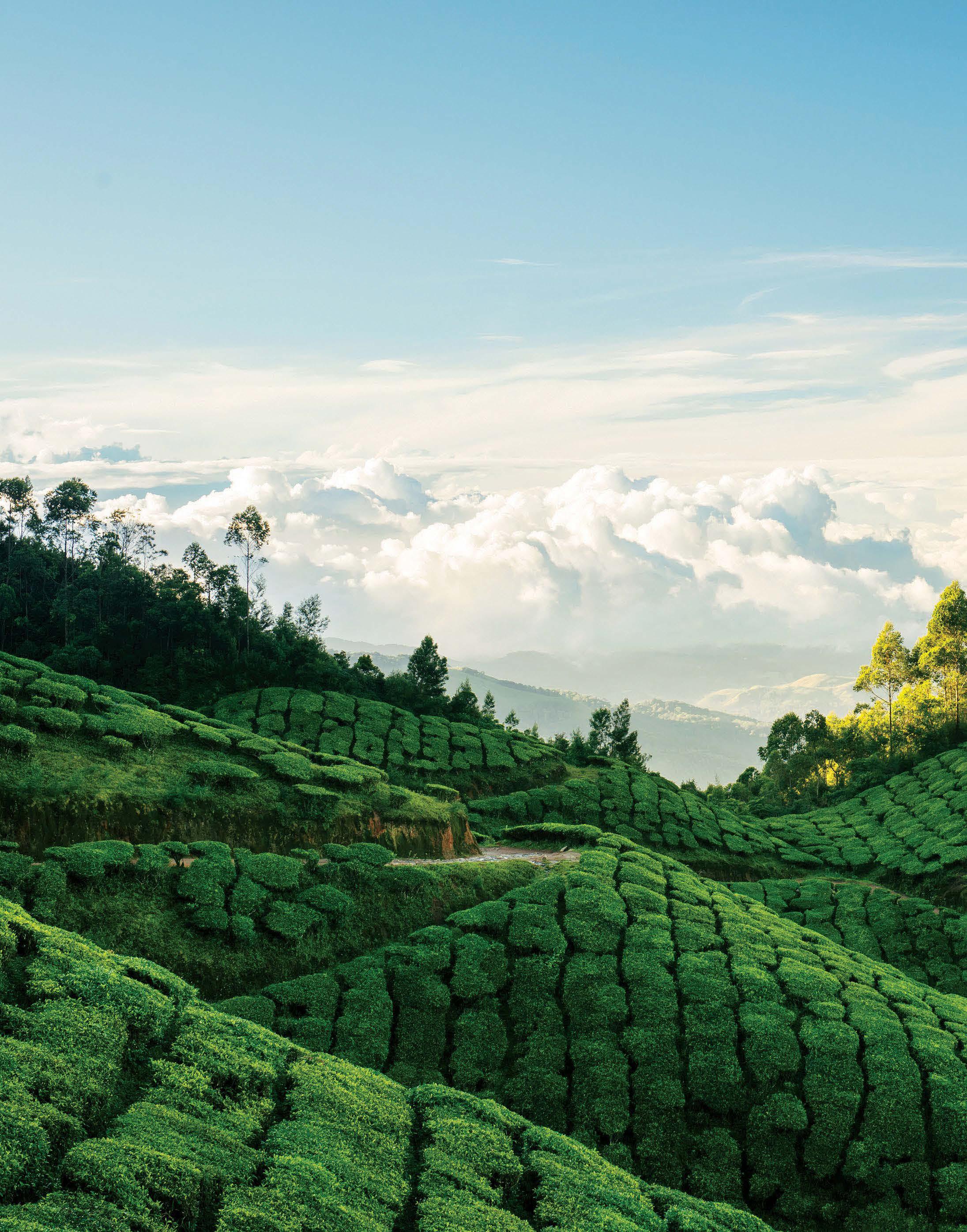 HEELS, HEART, AND A PASSPORT