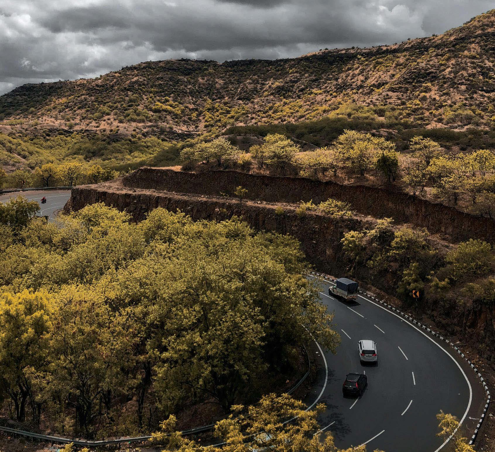 STRAWBERRIES, SPIRITUALITY, AND THE GENTLE PACE