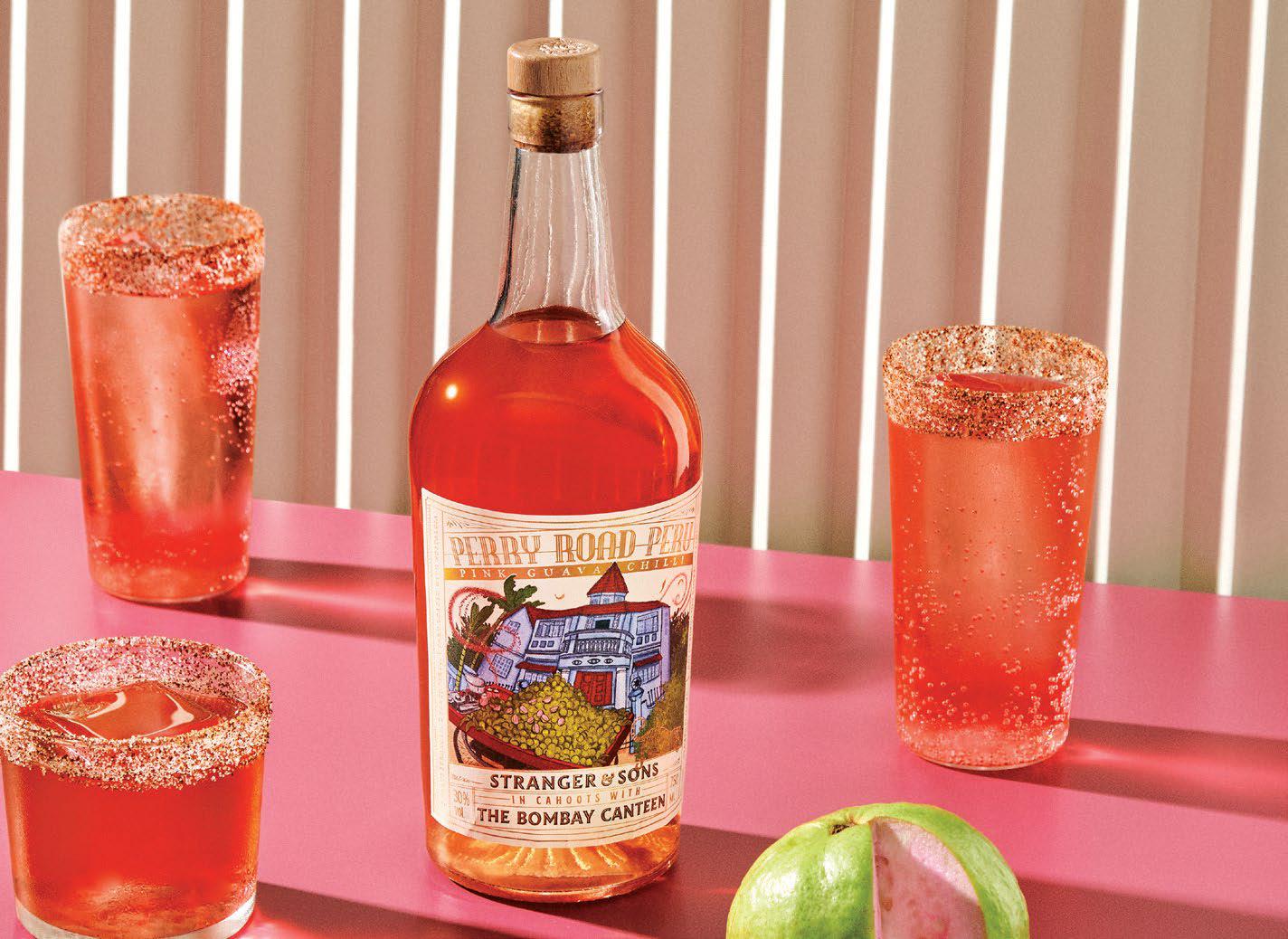 THE RISE AND RISE OF INDIAN DRY GIN