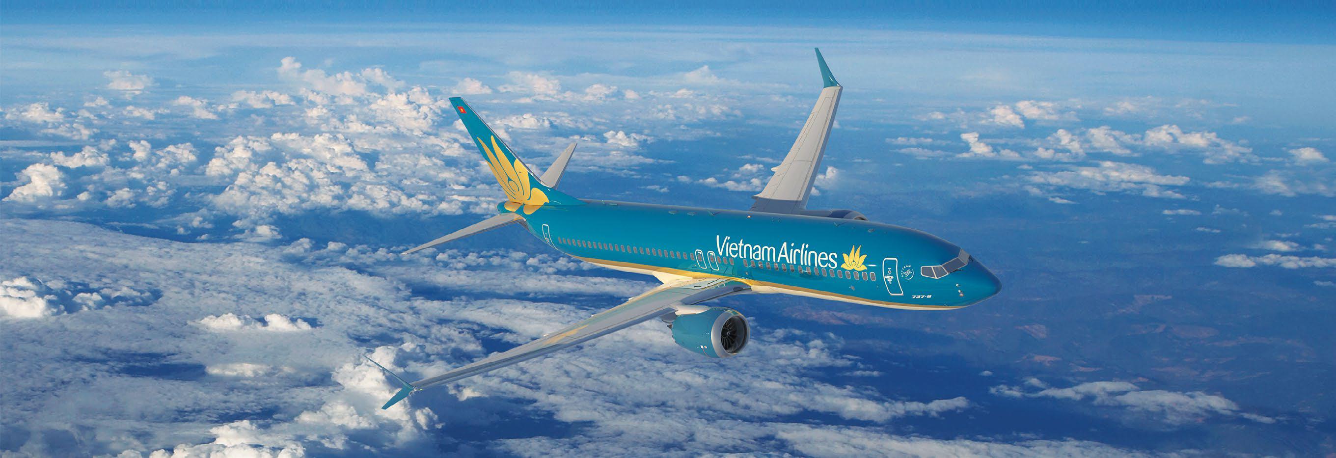 Airlines query foreign owner limit changes
