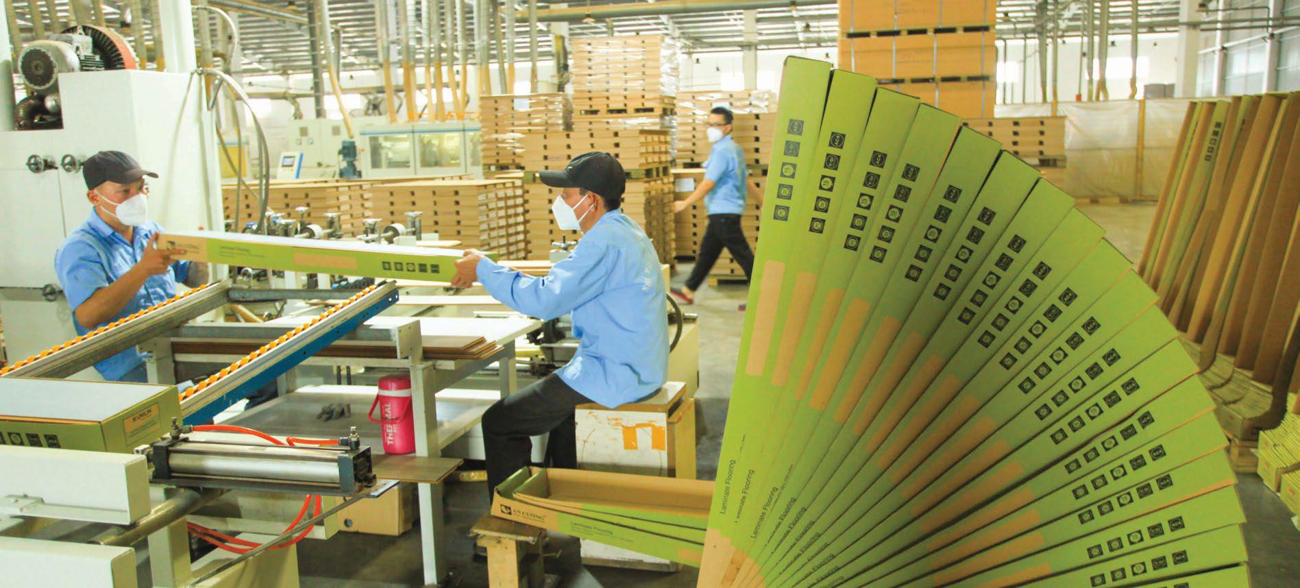 Groups urged to focus on expansion quality