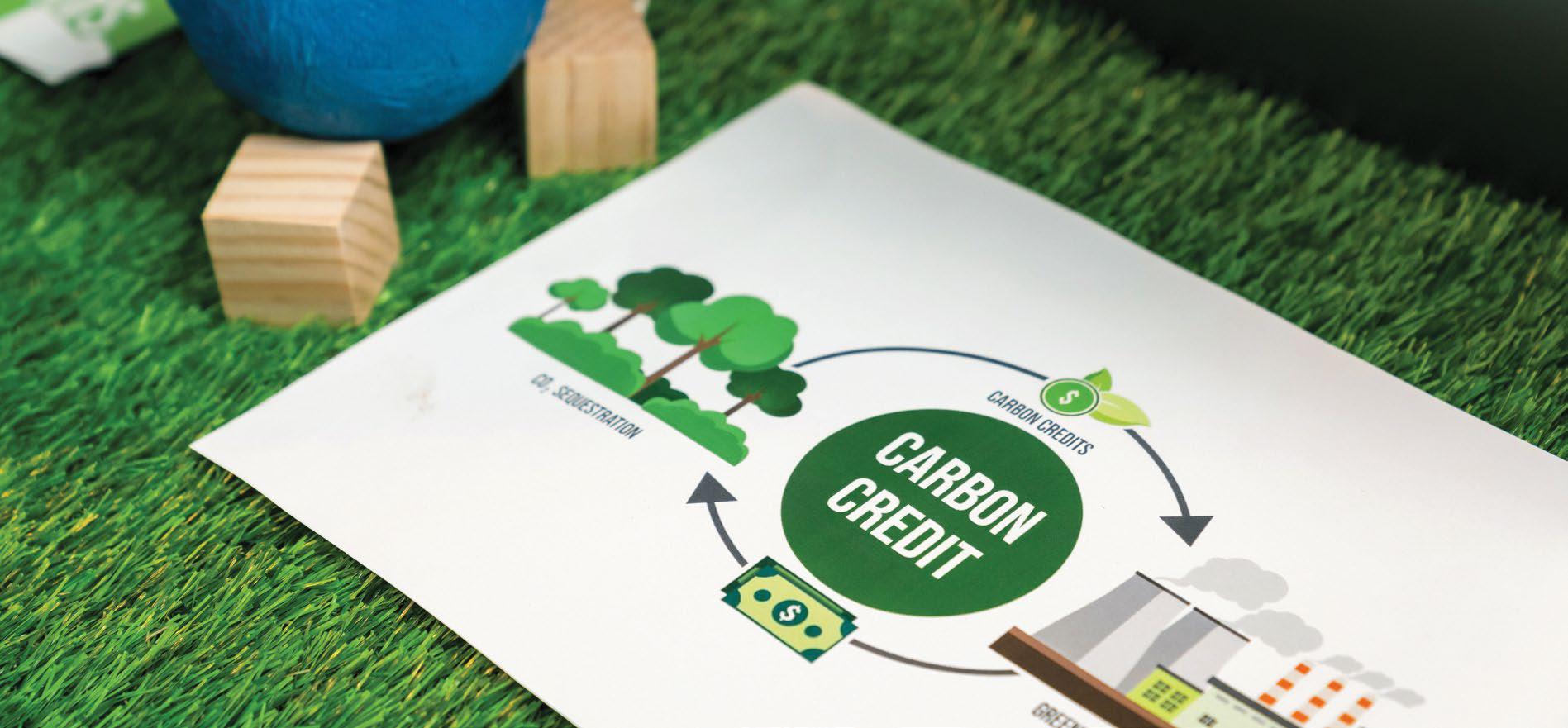 Legal tools completed for carbon trading