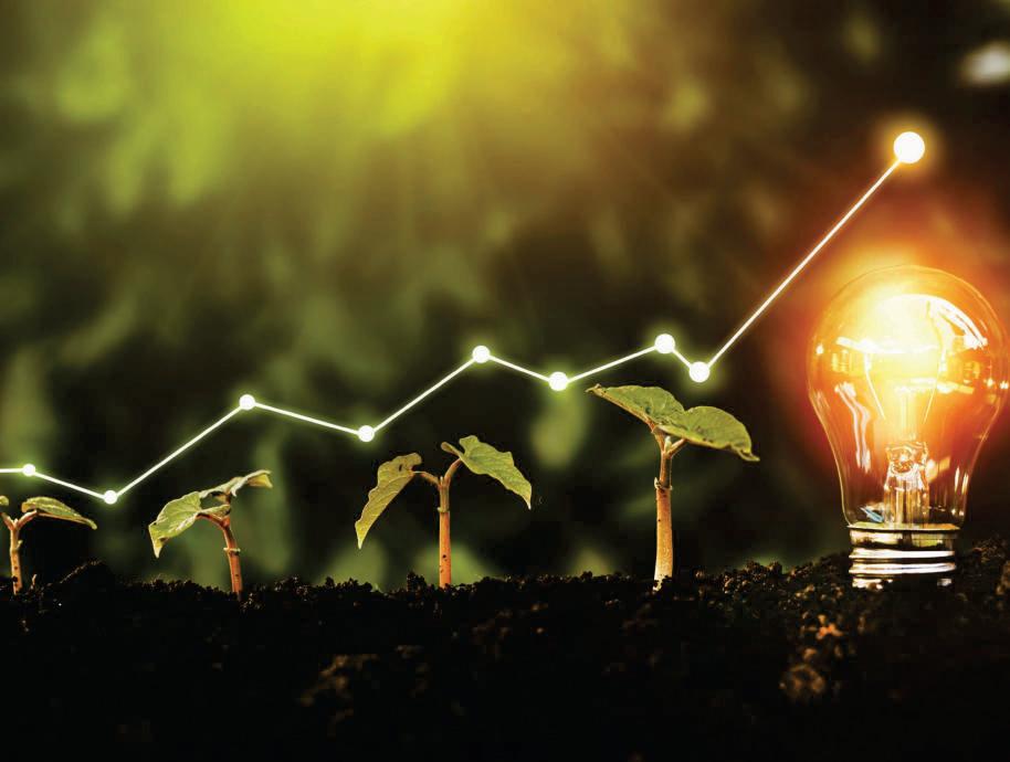 Startup arena gains long-term view