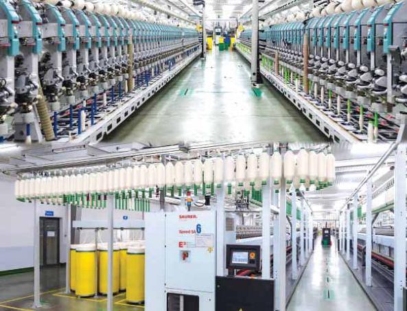 CÔNG TY CỔ PHẦN SỢI TRÀ LÝ: ĐẦU TƯ BỀN VỮNG TỪ NỘI LỰC ĐẾN ĐỘT PHÁ