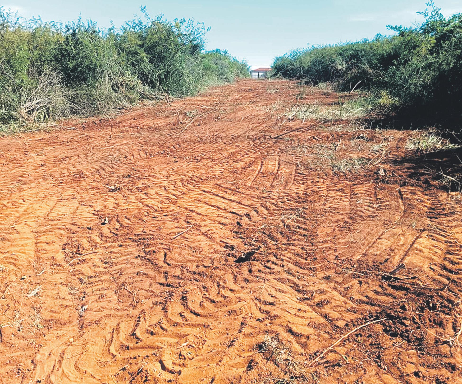 Court halts chief's land sales