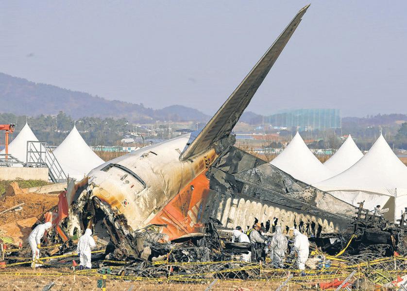 Surviving Deadliest Plane Crashes Takes Luck