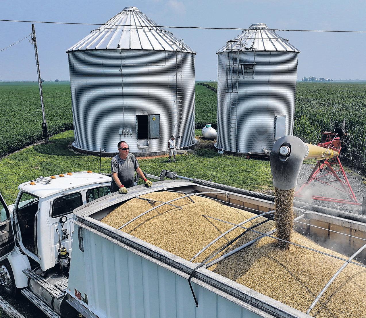 Soybean Farmers Face Life Without Chinese