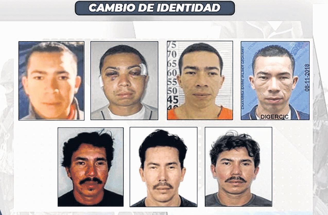 Drug Kingpin Arrested After Faking Own Death