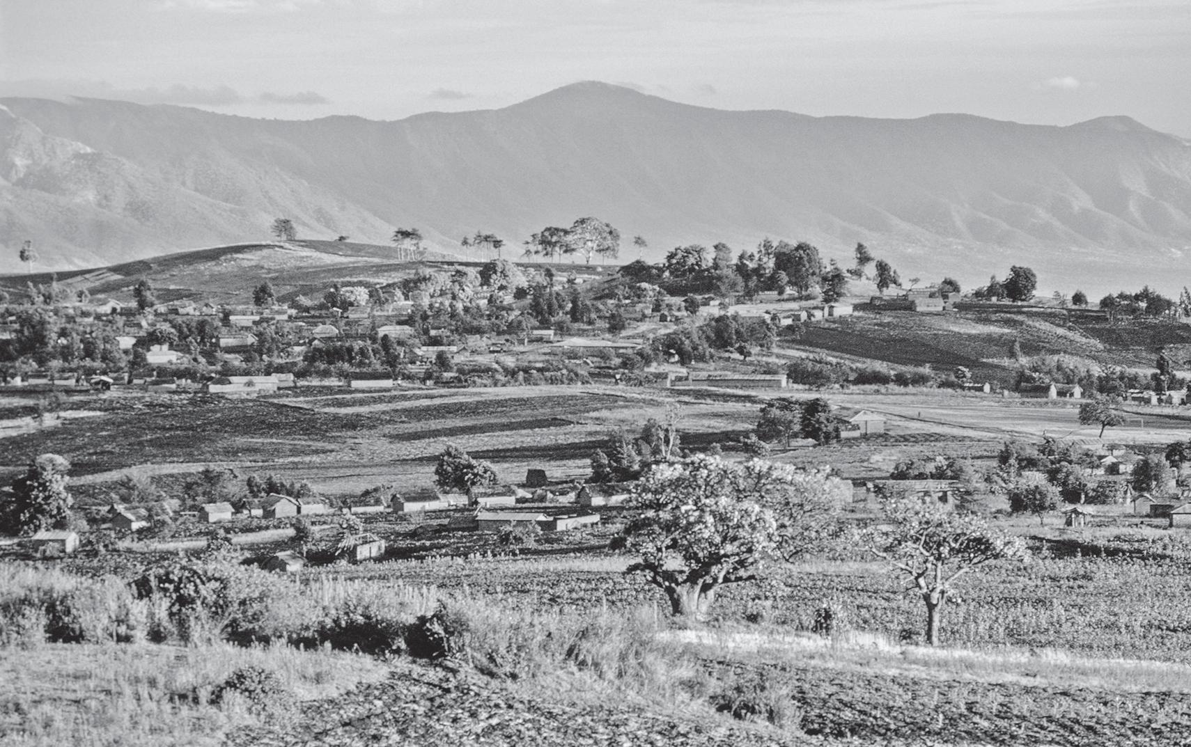 Firm Wages Crusade for Rare-Earths Mine