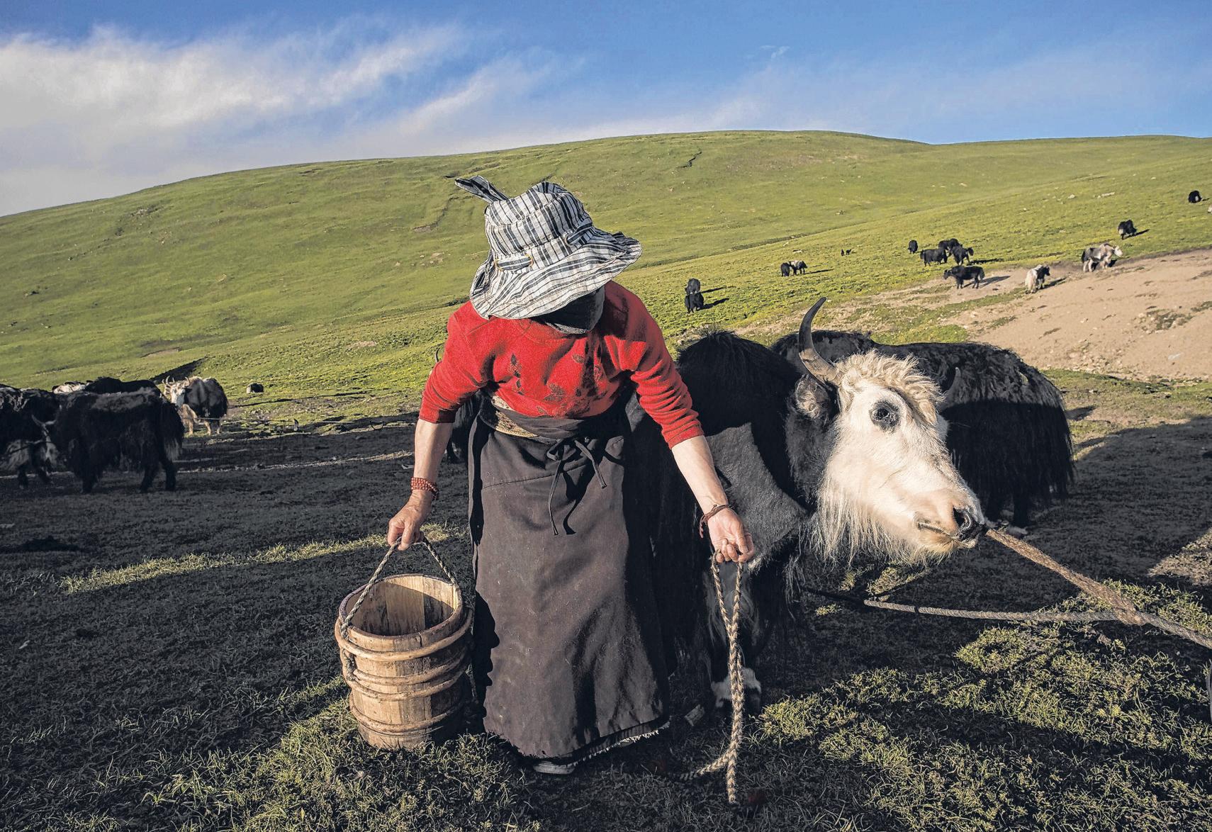 Tibetans Dare to Defy China With Protest