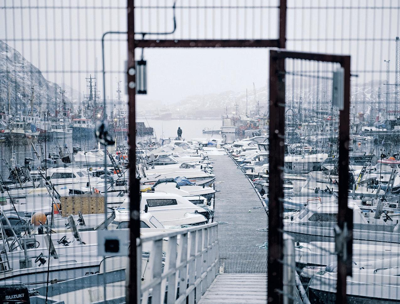 Talks Over Greenland Are Planned