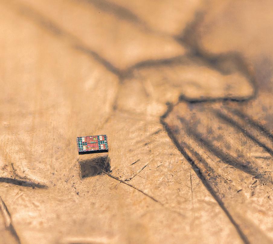 Scientists Create Robots Smaller Than a Grain of Sand