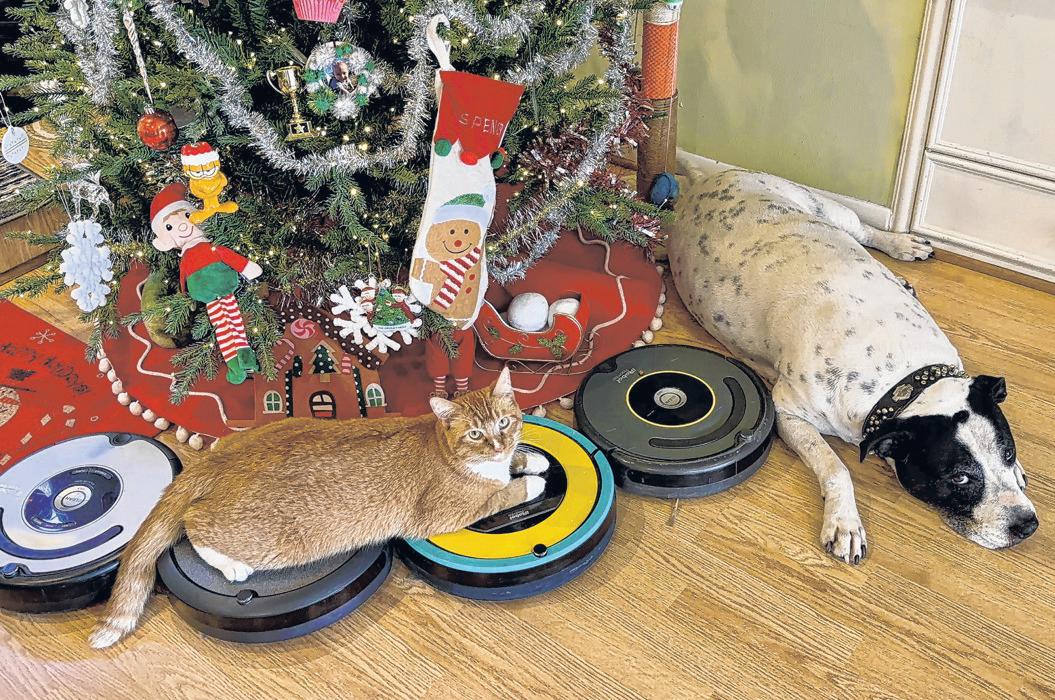 Patience Runs Out On Roomba