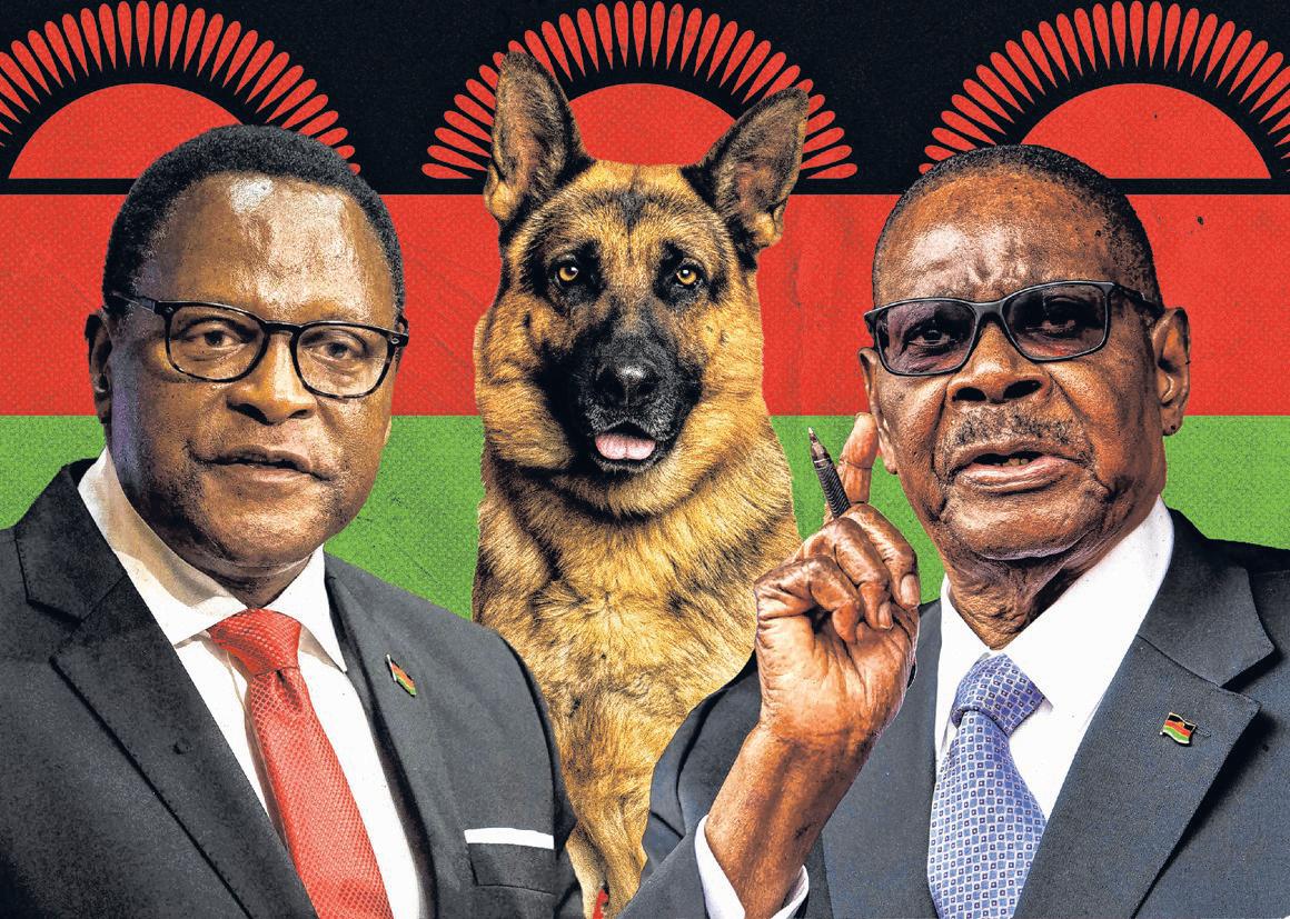 A Custody Battle Over Dogs Rocks an African Nation
