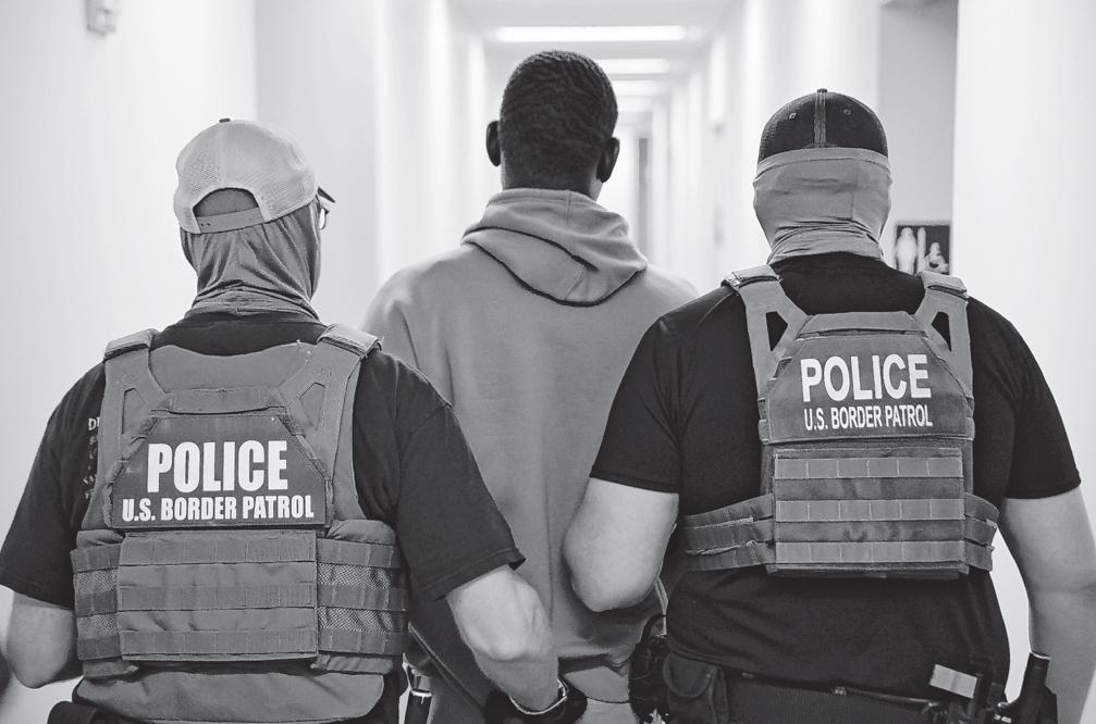 Immigration: Law, Lives and Labor