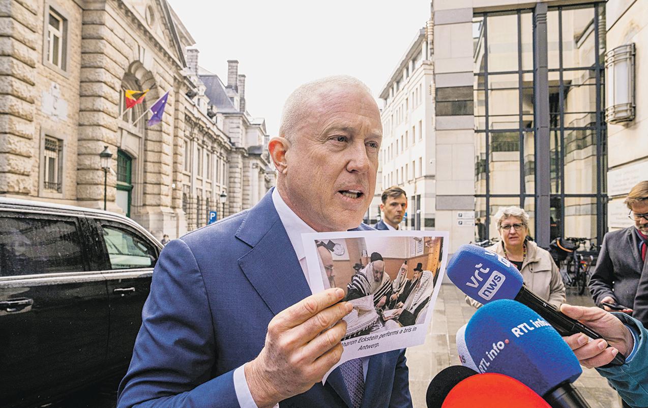 U.S. Envoys Ruffle Feathers By Interfering in Europe