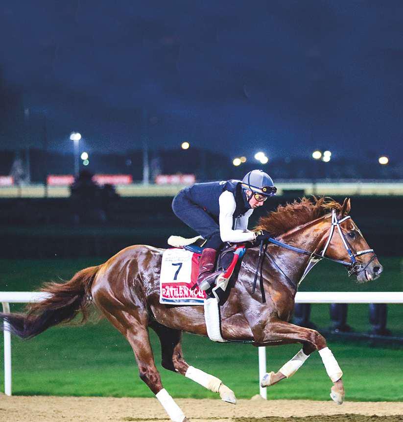 Buick backs Rattle N Roll for Dubai World Cup glory