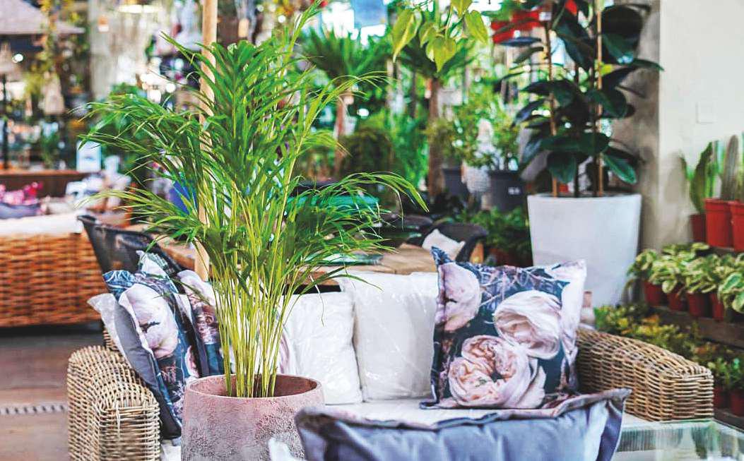 Greenery, clean air, and style