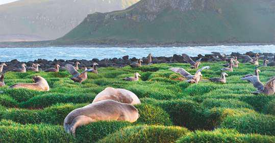 Trump tariffs didn’t spare inhospitable islands