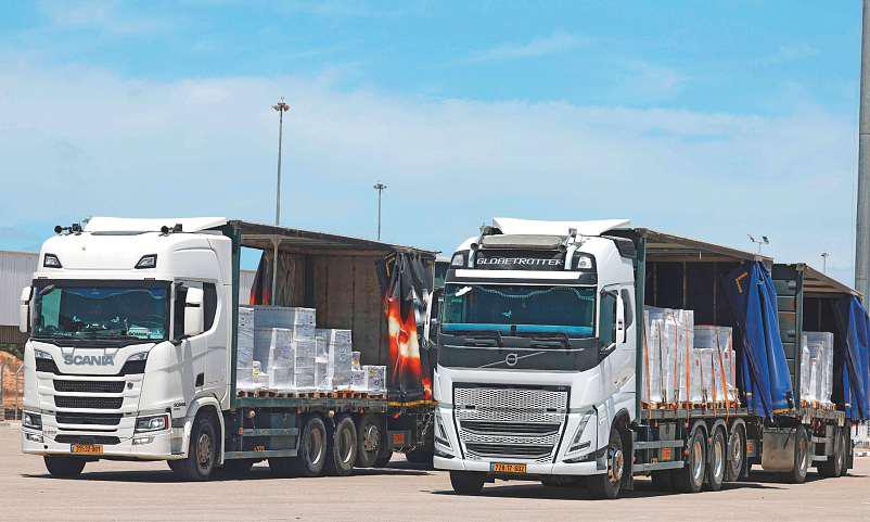 14,000 babies will die in Gaza in next 48 hours without aid: UN