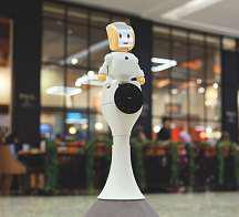 Robots to help shoppers navigate UAE malls soon