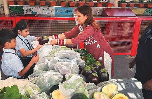 How school grows 100,000kg of vegetables and fruits a year