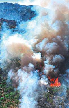 Wildfire scorches 100sqkm in Syria