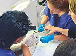 Turtle stuck in fishing gear rescued