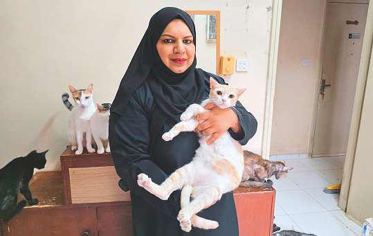 Expat caring for 65 rescued cats faces eviction in Dubai